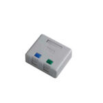 Network Outlets دو پورت Schneider مدل DCEIODSUXXXX