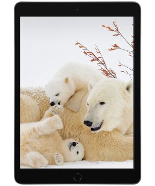 تبلت اپل iPad (9th Generation) 10.2-Inch Wi-Fi (2021) ظرفیت 64 گیگابایت