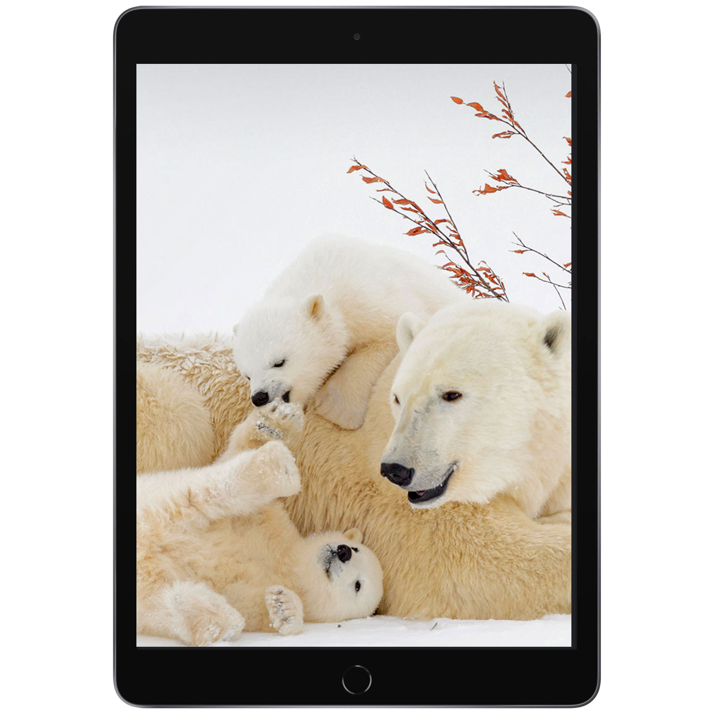 تبلت اپل iPad (9th Generation) 10.2-Inch Wi-Fi (2021) ظرفیت 64 گیگابایت