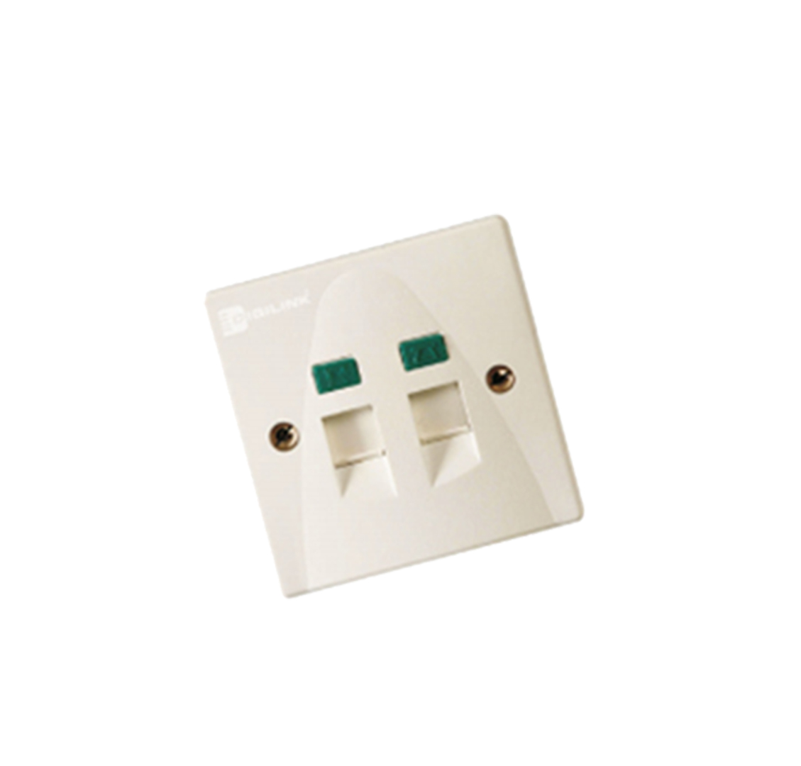 Network Outlets دو پورت Schneider مدل DCEIODMSXXXX