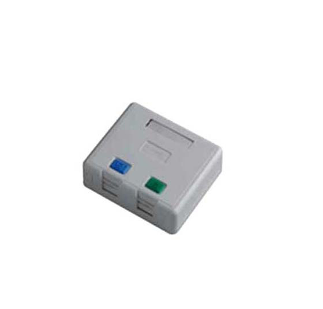 Network Outlets دو پورت Schneider مدل DCEIODSUXXXX