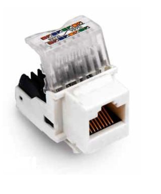 کیستون Infilink CAT6 UTP Tool Less مدل IP-KS6-W1